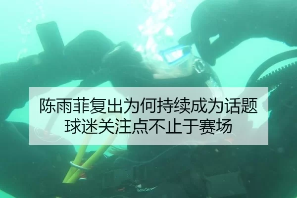 陈雨菲复出为何持续成为话题 球迷关注点不止于赛场